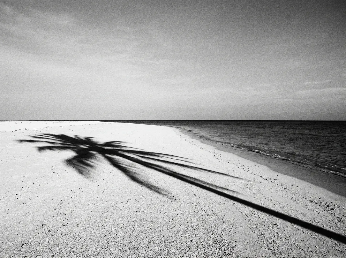 Plage vide, ligne d'ombre d'un palmier sur sable blanc, mer très claire, composition minimale à l'heure dorée