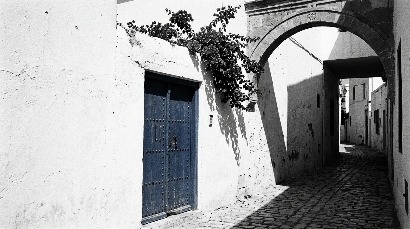 Mur chaulé et porte bleue cloutée de Sidi Bou Saïd, ombre nette d'arcade à midi, bougainvilliers débordant sur la chaux